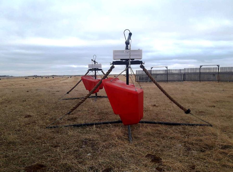 Cattle Oilers with feeders